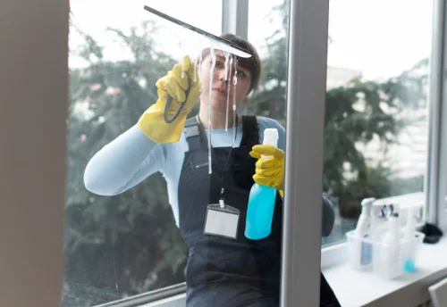 Nettoyage de vitres intérieures et extérieures à Échalas